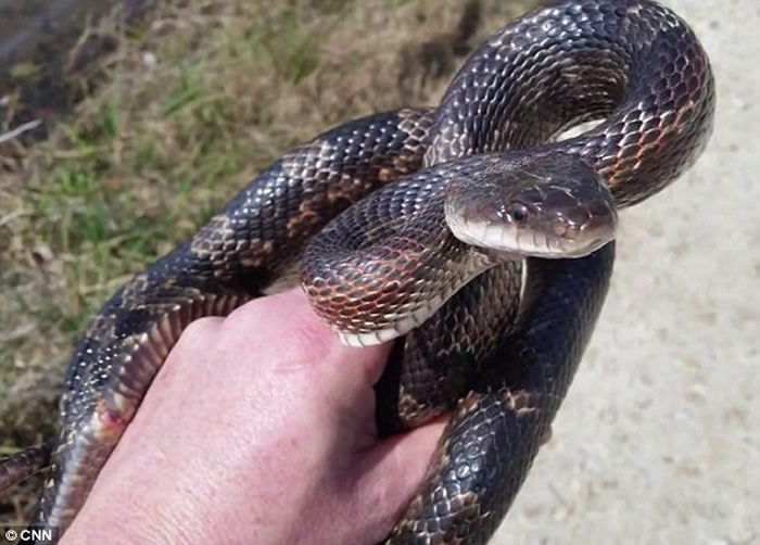 ��������˹��Ů��������������������� ��Ƶ�����һ����Ȼ������ͷ�ġ������ߡ�