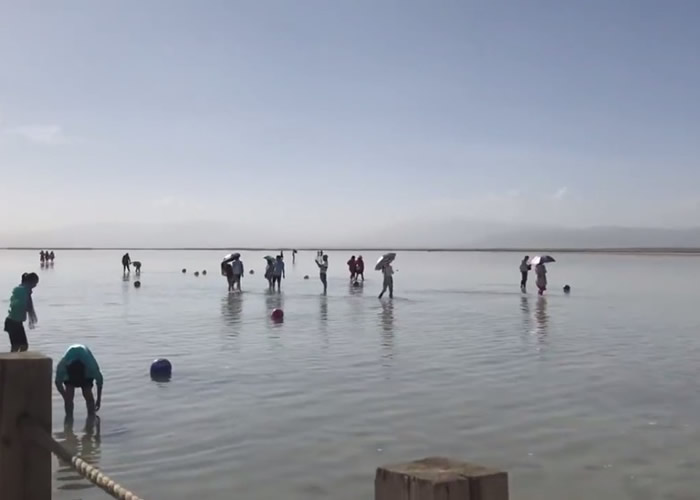 ���й����֮�����ຣ�����ز迨�κ����������������