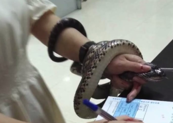 �㽭ʡ�����ֽ���Ů�ӱ���ҧ�� ͽ��׽1.5�״���������ҽ