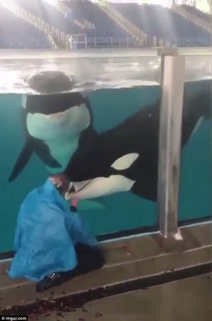 ��������ʥ������º�������Ůѵ��Ա����ʧħ�� ����ɱ�˾���ȫû���м�