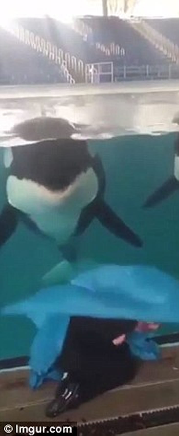 ��������ʥ������º�������Ůѵ��Ա����ʧħ�� ����ɱ�˾���ȫû���м�