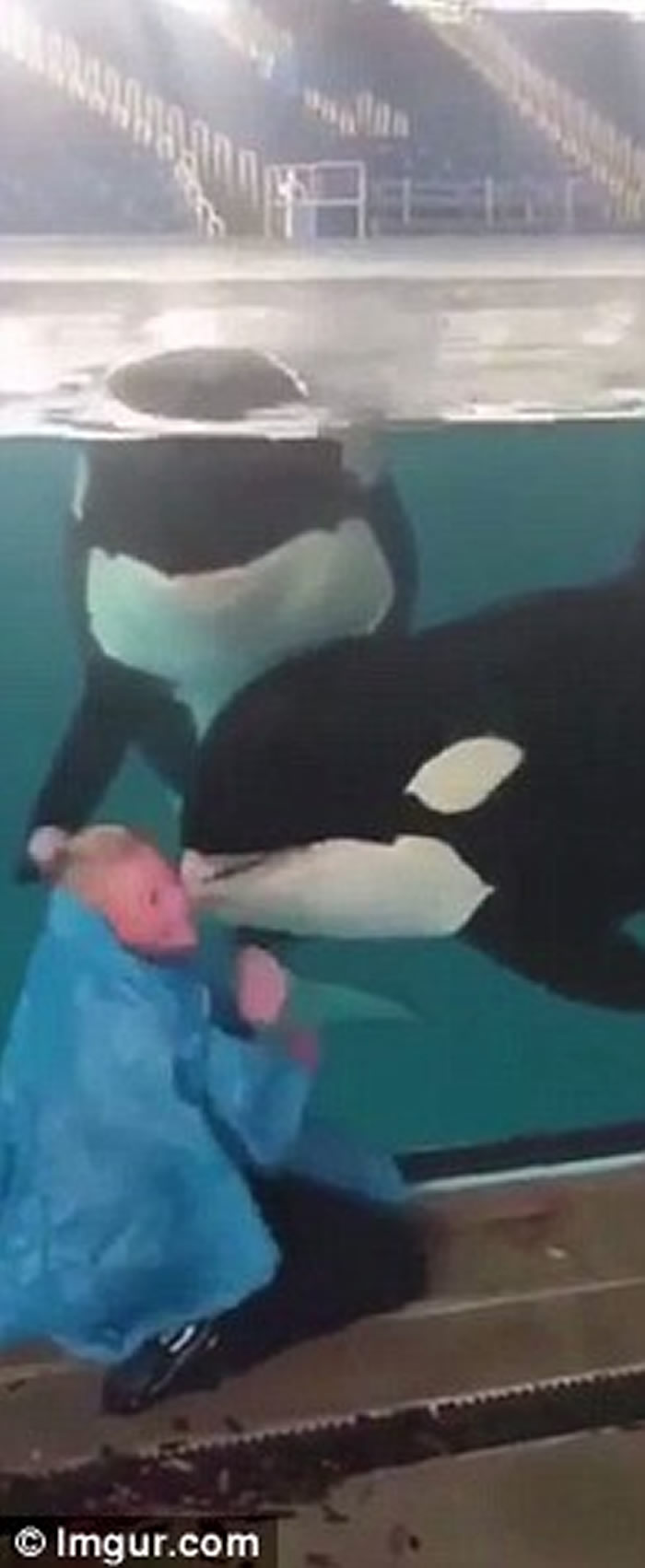 ��������ʥ������º�������Ůѵ��Ա����ʧħ�� ����ɱ�˾���ȫû���м�