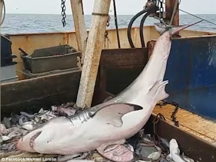 �����޵õ����������1.8�׳������ �����������������