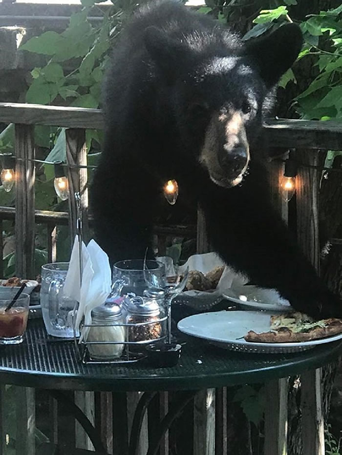 �����������ݸ����ֱ����������͹����߹˿͵�������