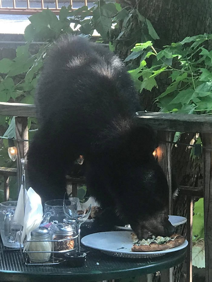 �����������ݸ����ֱ����������͹����߹˿͵�������