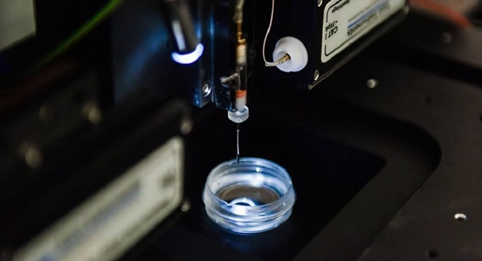 Scientific Reports������˹��ѧ�����Ƴ��ɷ�������Ч�������׵缫