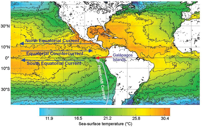 现代海洋表层水温度图