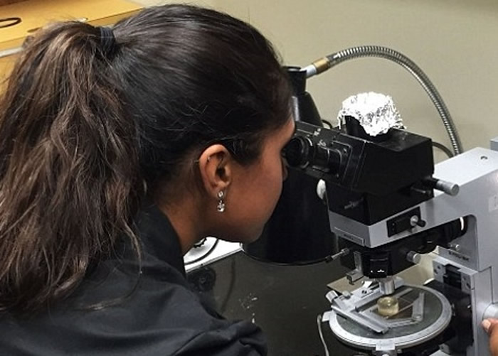 ��ѧ����Ϊ��ʯ�����о�̫��ϵ���γɹ��̡�