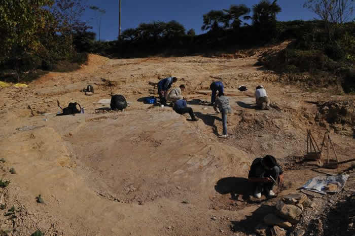 ������Ա����������Ⱥ�����ص㷢��ʯ��