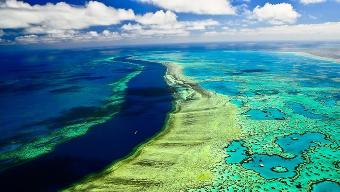 �������ѧǰ�ء��������о�ָ�󱤽��İ׻���ʵ��400��ǰ���Ѿ���ʼ