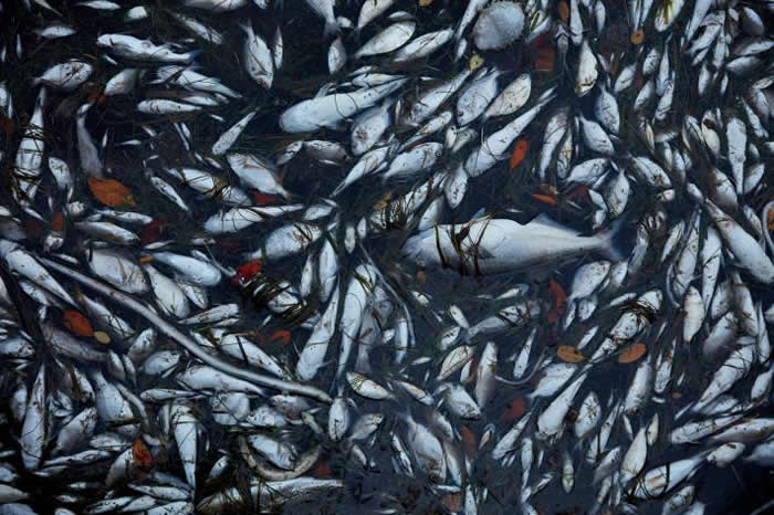 ����˵�ܻ�������ֻ��ͺ�պ���ѻ�� �����ֿܵ�����Ķ��ԣ���˿��Ծ������ô������������������� PHOTOGRAPH BY BEN DEPP