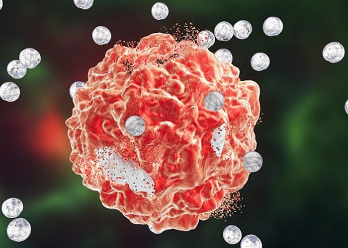 �������ݴ�ѧ�����з�У�з���������ҩ �ɼ�������ɱ����ϸ��