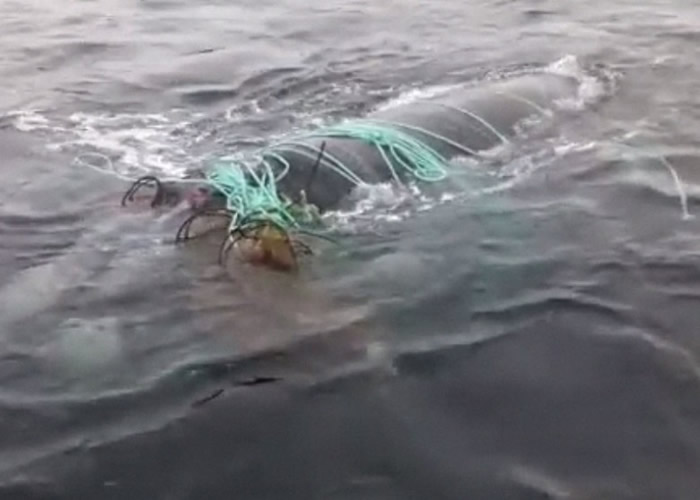 ���뾨��������ס�޷��ζ���