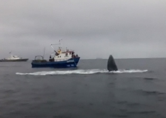 ���뾨��ʱ¶��������