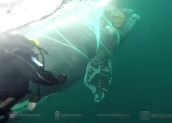 ����ǱˮԱ���볤�뾨ͬ�Σ��߸��������