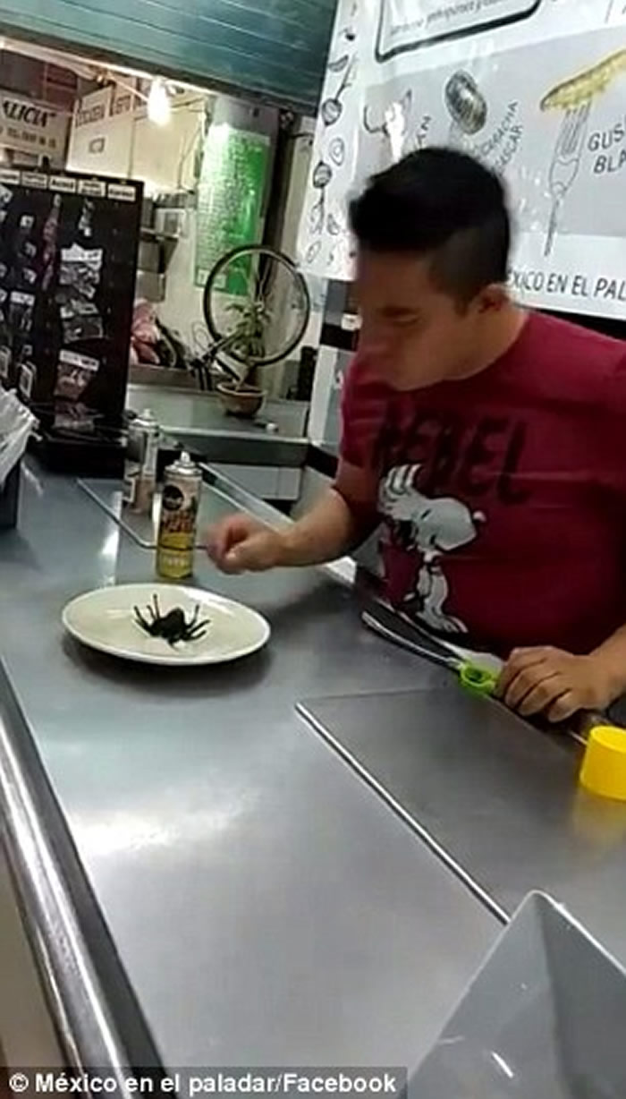 墨西哥餐厅“蜘蛛卷饼”的菜式所用的食鸟蛛为受保护物种“墨西哥红尾蜘蛛”