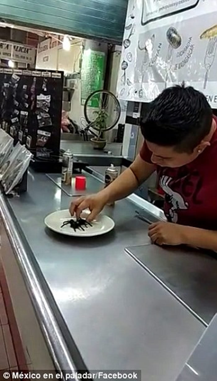 墨西哥餐厅“蜘蛛卷饼”的菜式所用的食鸟蛛为受保护物种“墨西哥红尾蜘蛛”