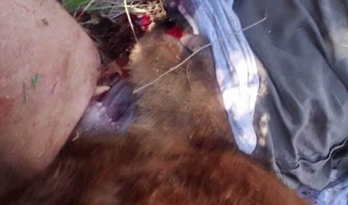 ������ī�����������޹������Ϯ�� ����ͷ����