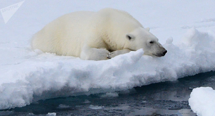 ����ѧ���桱������ѧ���״μ�¼�����������������꺣����ʧ