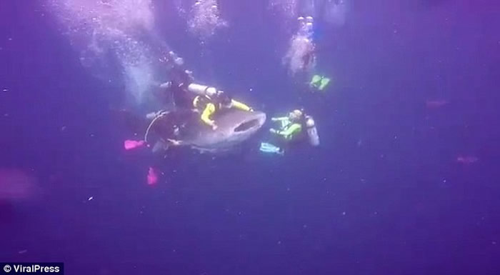 ӡ��������һ������Ǳˮʱ�ﾨ��󱻲�