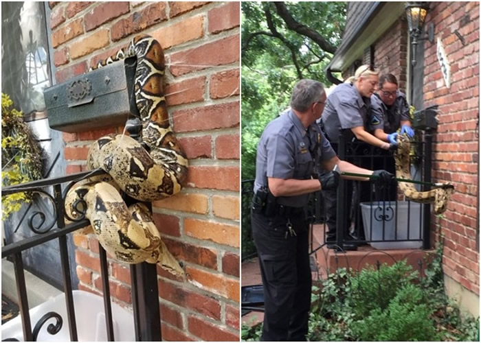 ��������˹���ʲ��������Ϸ���2.5�׳�������