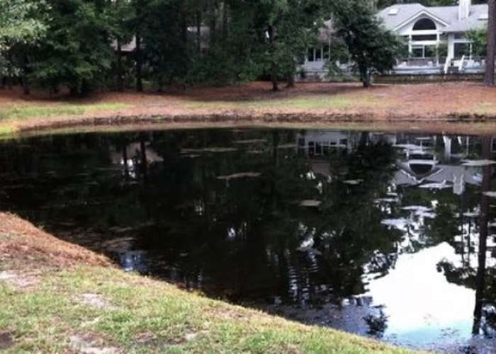 �����Ͽ��������ݸ���Ϊ������Ȯ��������Ͻ�к������