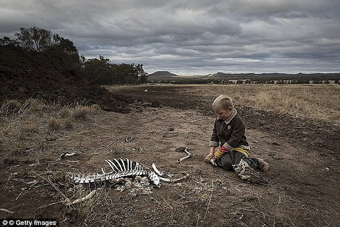 �Ĵ�������������ʿ�����ظɺ� ����Ǽ�վ�ڲ�ԭ�м�