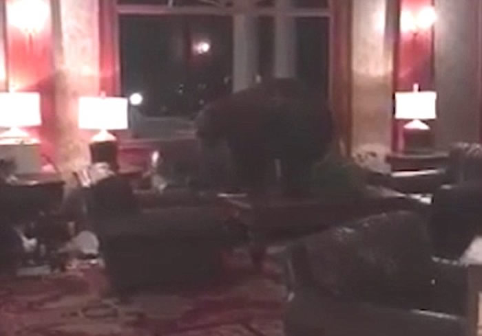 ����ҹ�����������������͹��Ƶ�