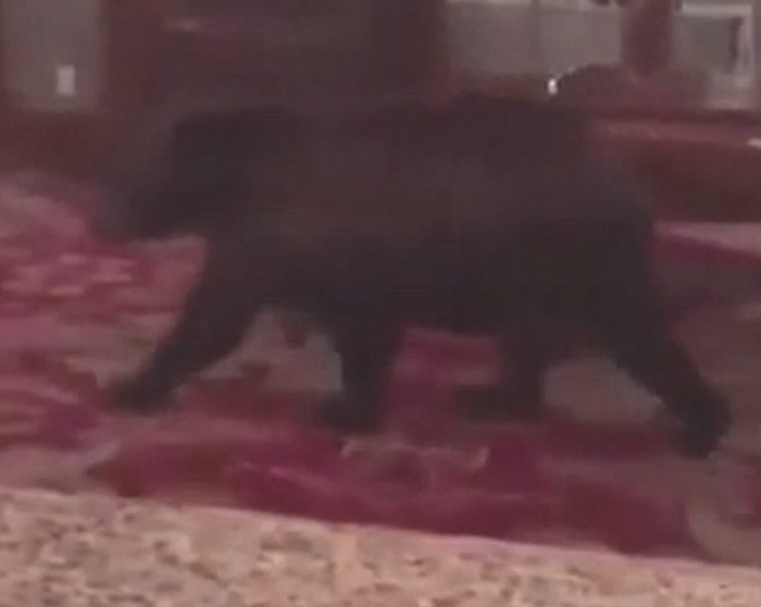 ����ҹ�����������������͹��Ƶ�