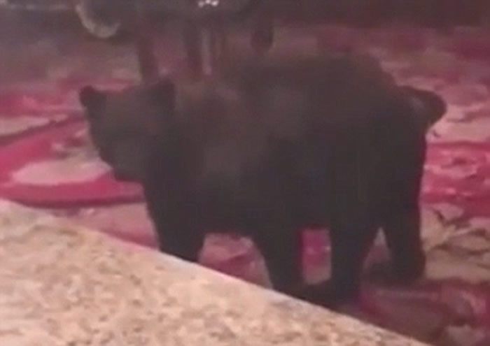 ����ҹ�����������������͹��Ƶ�