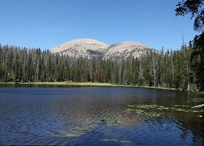 �������Ӹ�ɽ������������Ϊ�����ṩ����Ļ��ᡣ