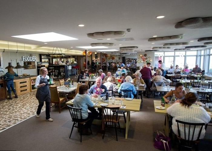 Ӣ�������ѧ�о����ֵ����ò�ʱ�����������