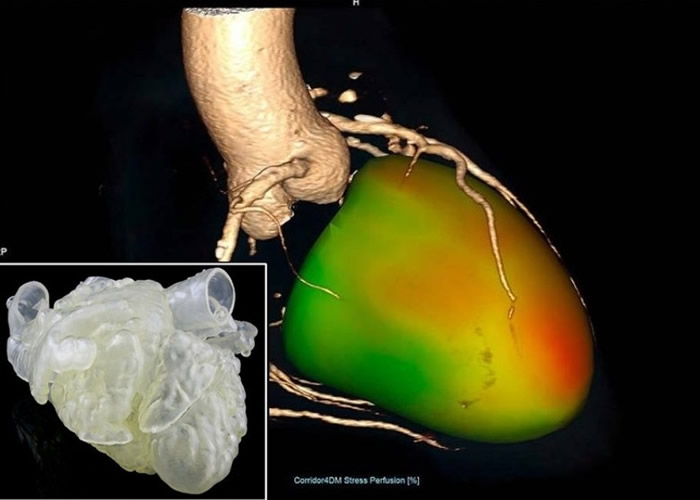 ����ģ���������AI��������ҽ����׼ȷ���������Ʒ�ʽ�ķ��ռ���Ч��