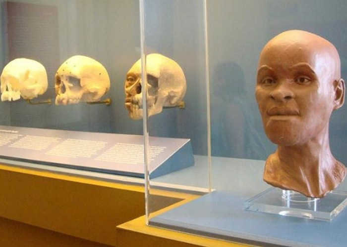“卢西亚”为美洲大陆发现的最古老人类骸骨。
