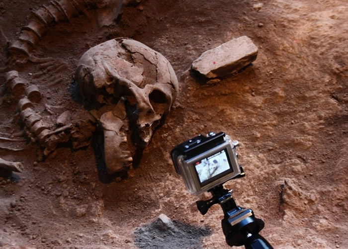 Luzia人类化石。