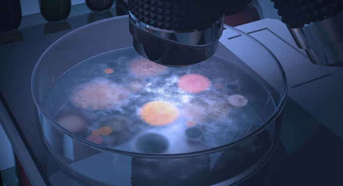 Ĵǹѧרҷֳϸ ֪ؾҩ