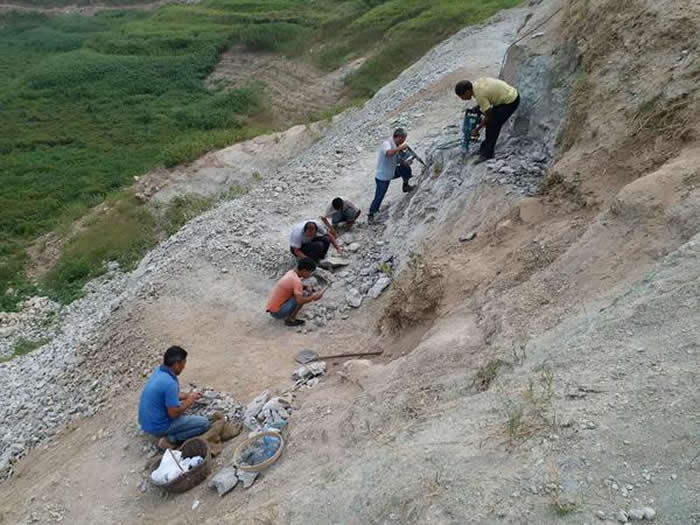 �ų��Ϻ���Գ��ַ2����ʯ�㷢��Ϭţ�����㡢���Լ��������໯ʯ1000���