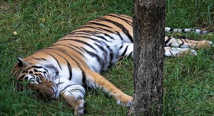 ͵߲ɱ19ֻ¶ͼŹǴӶ˹߽˽й