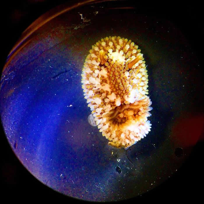 ຣֺ帹㶯ﳣڱϰĺҵ PHOTOGRAPH BY BRIANNA TRACY, SMITHSONIAN