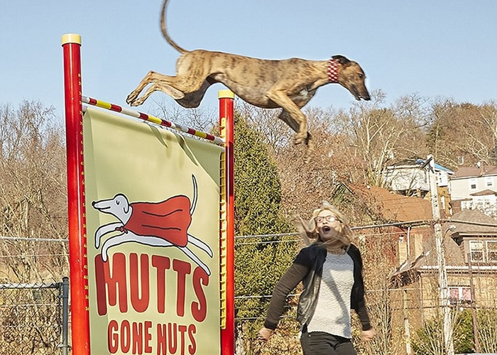 ����ë�����÷ǳ�֮�ߣ���˵�ǹ�ֻ����������ǡ�