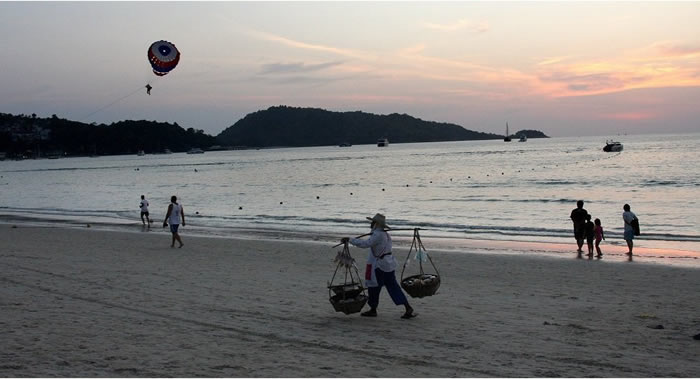 泰国普吉岛乃洋海滩发现有毒海蛇