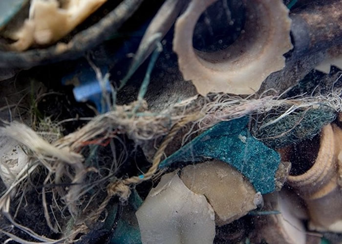 太平洋布满塑胶垃圾。