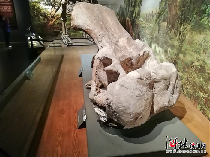 1972���������ԭ��ɳ���������ͷ�ǻ�ʯ���ִ���ʡ����Ժ�����߶�������