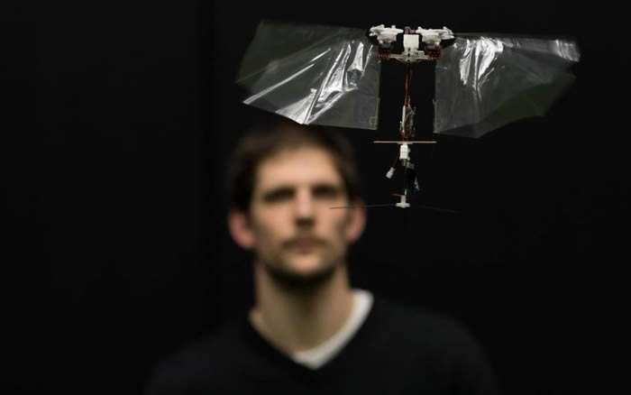 �����������л����˿�ģ��������ؼ����б���