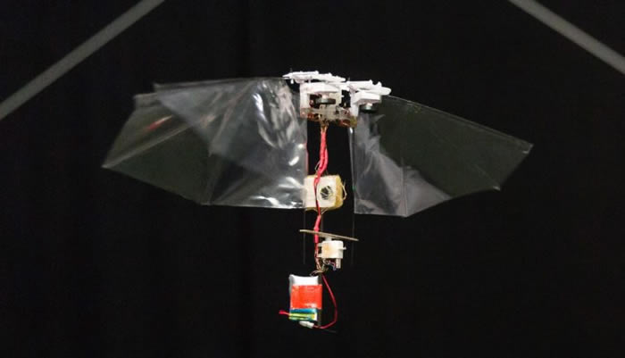 �����������л����˿�ģ��������ؼ����б���