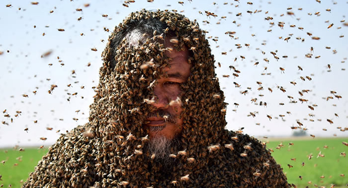 ɳ�ذ�����һֻ������۷�ٵ���Ҫ���������������������¼�ĳ���