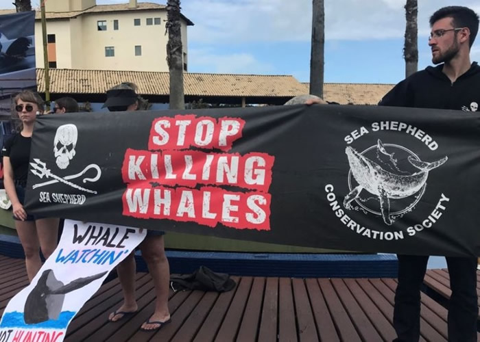 环保人士在国际捕鲸委员会年会举行期间,发起抗议行动。