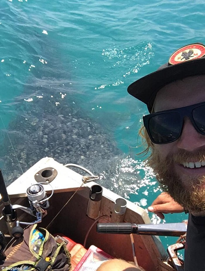 澳洲西澳省温驯鲸鲨游近小艇 让男子轻抚20多分钟才离开