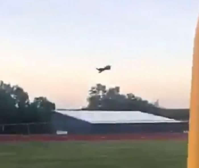 ��������˹��һֻСè�ұ��ˡ������ߡ�������