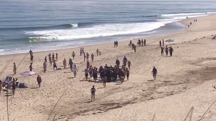 美国麻州惊传鲨鱼咬死人事件 26岁男子在海滩玩冲浪板时遭到袭击